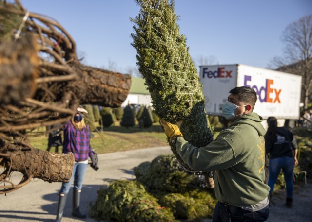 Guard members load holiday trees for military families