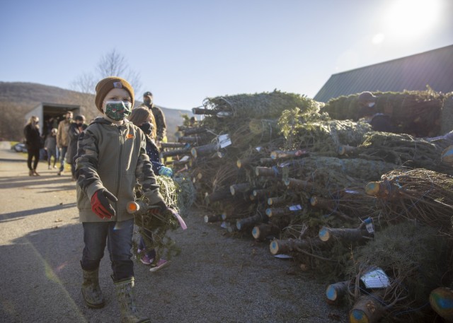 Guard members load holiday trees for military families