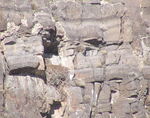A photo taken by a small unmanned aircraft system (sUAS) confirms a golden eagle nest on Dugway Proving Ground is inactive. Dugway Proving Ground photo.
