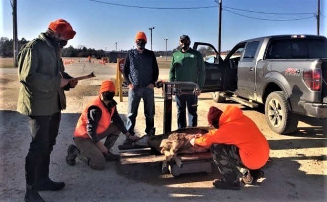 Deer data collection point personnel gather data Nov. 23, 2020, about harvested deer at the collection point station on South Post at Fort McCoy, Wis. The data collection helps Fort McCoy wildlife management personnel determine the health of the...