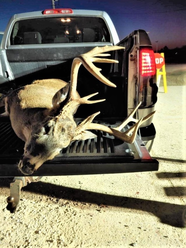 A large whitetail buck is shown Nov. 28, 2020, taken during the 2020 gun-deer season at Fort McCoy, Wis. Nearly 300 deer were harvested during the season, meeting deer management goals by post natural resources management officials. (Contributed...