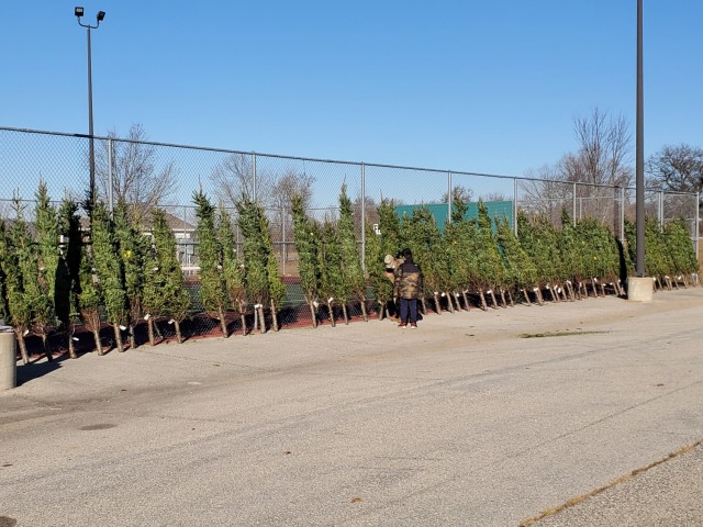 Military family members carry a tree Dec. 4, 2020, during the Trees for Troops event at the South Post Housing area at Fort McCoy, Wis. Eighty free Christmas trees were distributed to Fort McCoy military families thanks to the Trees for Troops organization. This was fifth consecutive year the trees were distributed. The Directorate of Public Works Housing Division coordinated the distribution. (U.S. Army Photo by Scott T. Sturkol, Public Affairs Office, Fort McCoy, Wis.)