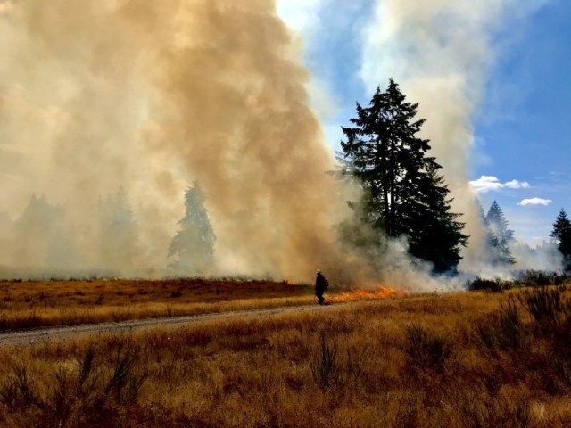 Prescribed Burn