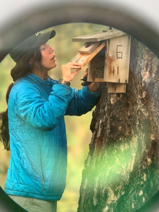 Checking the nest