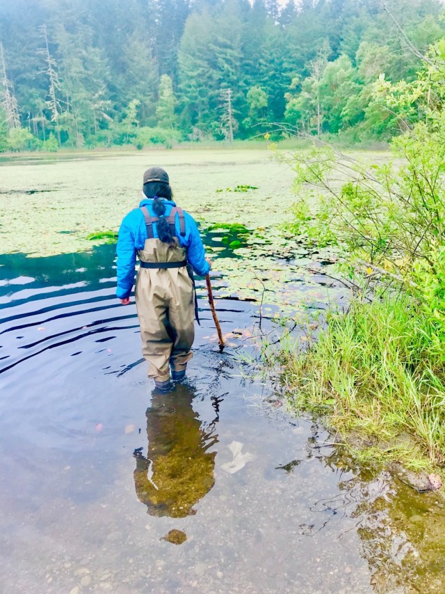 Wade in the water