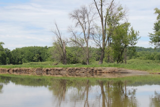 The heavily scoured eastern shore of Buffalo Slough Island, an island within Sturgeon Lake near Red Wing, Minnesota.