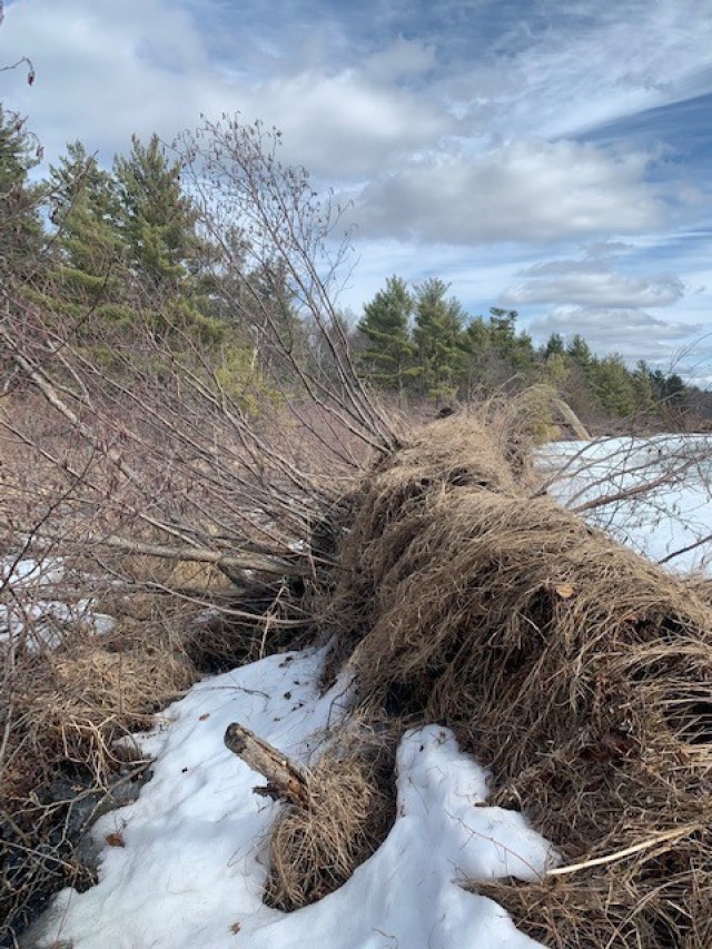 Ice heave damage along Big Sand Lake, in south central Burnett 
County, Wisconsin.