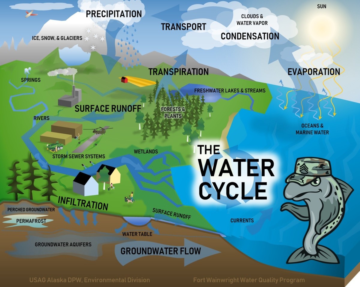 effects of water pollution on humans and environment