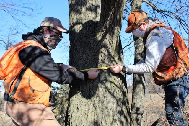 Forestry Technicians Nick Randall (left) and Tim Parry measure the circumference of a tree while working on a forestry survey on the cantonment area Dec. 4, 2020, at Fort McCoy, Wis. Parry works with the Forestry Office of the Directorate of...