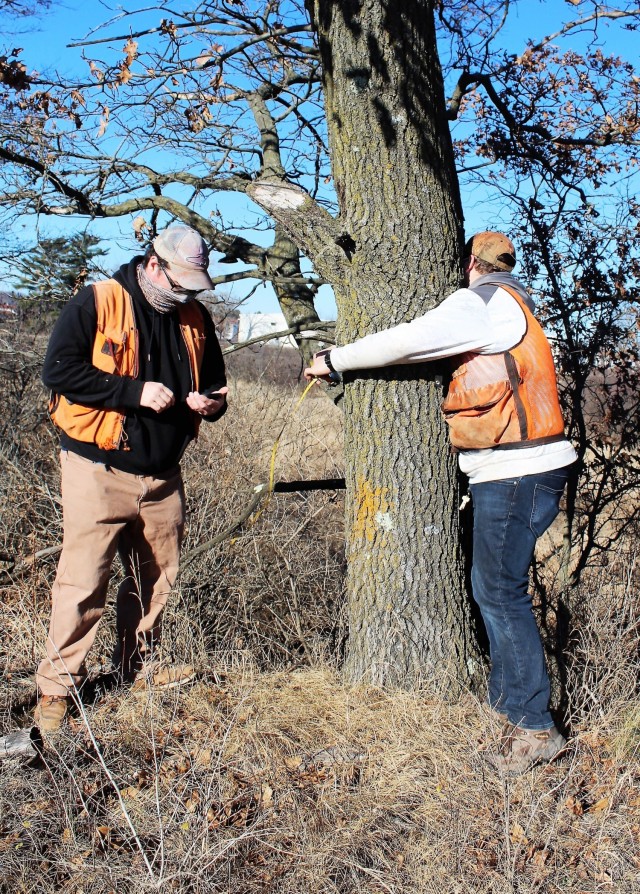 Forestry Technicians Nick Randall (left) and Tim Parry measure the circumference of a tree while working on a forestry survey on the cantonment area Dec. 4, 2020, at Fort McCoy, Wis. Parry works with the Forestry Office of the Directorate of...