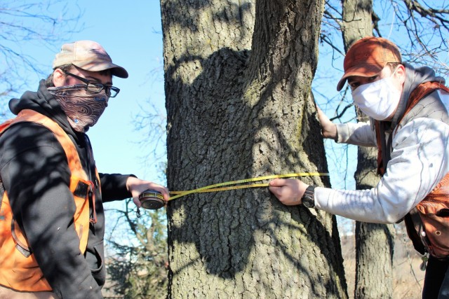 Forestry Technicians Nick Randall (left) and Tim Parry measure the circumference of a tree while working on a forestry survey on the cantonment area Dec. 4, 2020, at Fort McCoy, Wis. Parry works with the Forestry Office of the Directorate of...