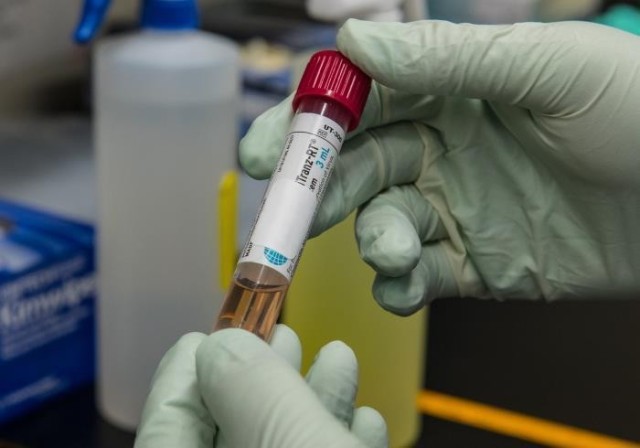 WIESBADEN, Germany - All travelers into the United States are required to show proof of negative COVID-19 test taken nor more than three days before departure.