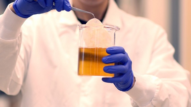 With Army funding, researchers developed a new way to generate tough, functional materials using a mixture of bacteria and yeast similar to the kombucha mother used to ferment tea.