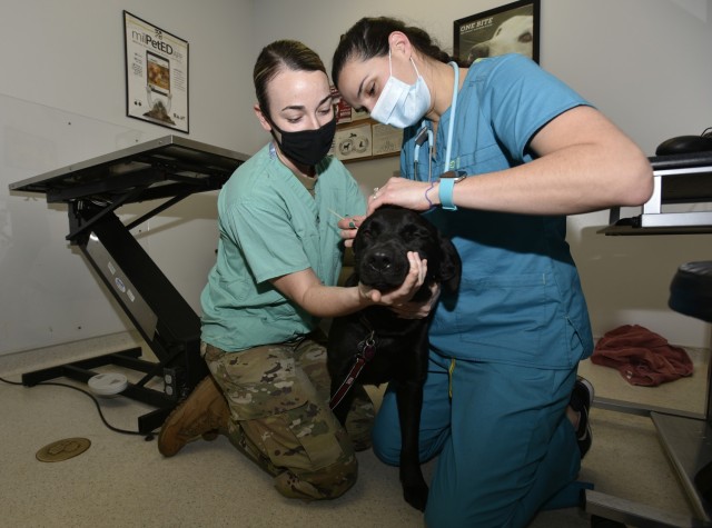 New civilian vet cares for FLW's pets