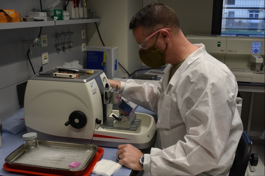 histology lab guide histology lab guide
