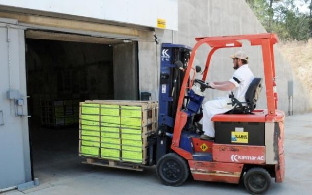A fork truck operator at Anniston Munitions Center, a JMC Subordinate installation, moves pallets of munitions into an earth-covered igloo in preparation for storage, until it is time to ship to the field or for training.