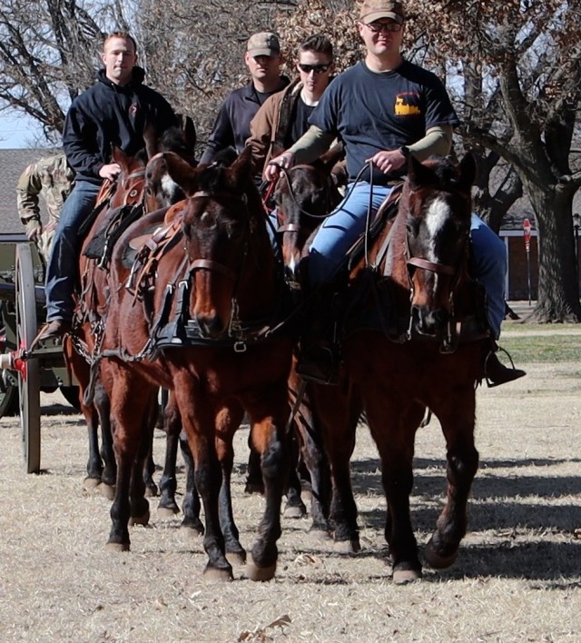 The Fort Sill Artillery Half Section trained as a team Feb. 2, 2021, on the Old Post Quadrangle. New riders practiced how to start and stop together at a walking pace. They continued training for the rest of the week and will continue to make...