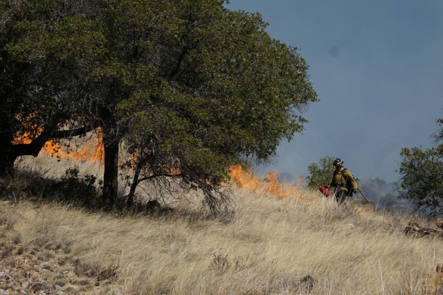 Prescribed burns underway to mitigate wildfires