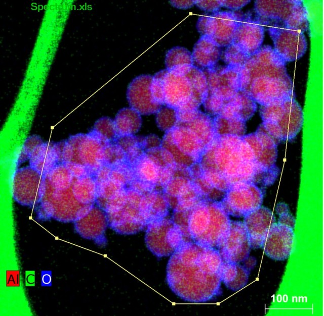 Scientists use advanced imaging techniques to analyze nanoparticles.