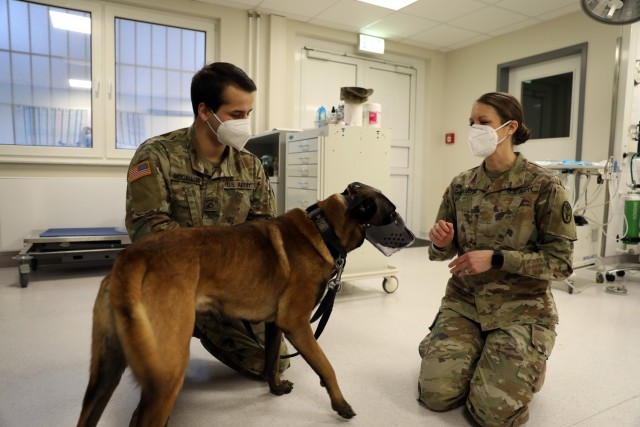 Majore Desireé, directrice du Centre vétérinaire européen, dirige un chien de travail de l'armée.