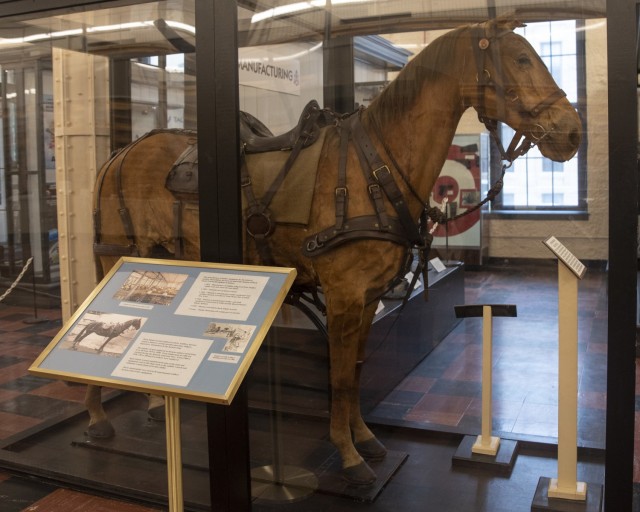 The manufacture of leather equipment for the military has been an important mission of Rock Island Arsenal throughout its history. Horse mannequins were used to fit experimental artillery harness and cavalry equipment. This well-known horse will be incorporated in the new exhibits at the Rock Island Arsenal Museum.