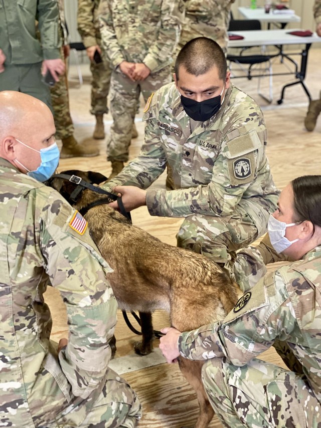 Spc. Joseph Carrasco, 50th Military Working Dog Detachment, 519th Military Police Battalion and Staff Sgt. Kelli Tittle from the Fort Polk Veterinary Treatment Facility explain how to
check the pulse on Chantal, a military working dog, to Sgt. 1st Class Gregory Gillen, 317th Engineer Battalion during the Emergency Medical Technician training conducted by the Bayne-Jones Army Community Hospital Education Division at Fort Polk, La. on Feb. 26.