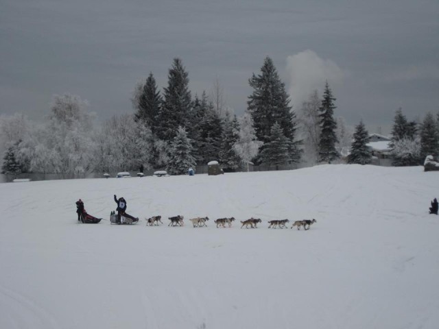 Fort Wainwright Outdoor Recreation patrons experience the Alaska “mush” in 2014 with competitors of the Yukon Quest race from Fairbanks to Whitehorse, a course that passes through Fort Wainwright.