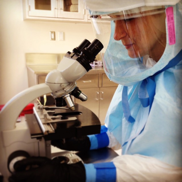 Dr. Cristine Lawson seen in an NIH laboratory in 2015. 