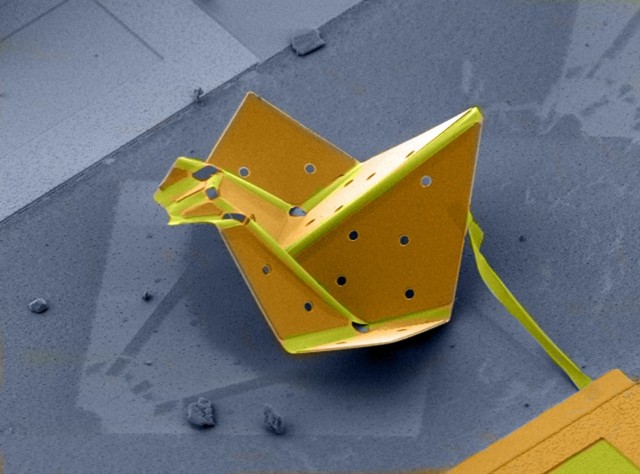 Micron-sized shape memory actuators could allow atomically thin two-dimensional materials to fold themselves into 3D configurations with just a quick jolt of voltage. Researchers create what is potentially the world’s smallest self-folding origami bird.