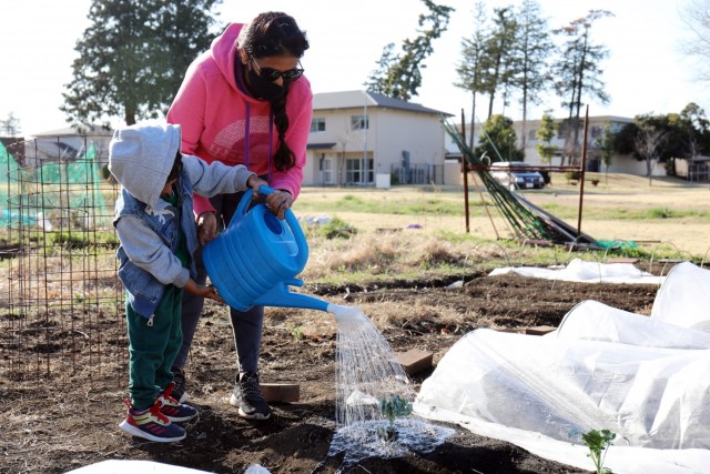 Annie Edwards and her 4-year-old son M. water vegetables in their plot at the Camp Zama and Sagamihara Family Housing Area Community Garden, SFHA, Japan, March 15.