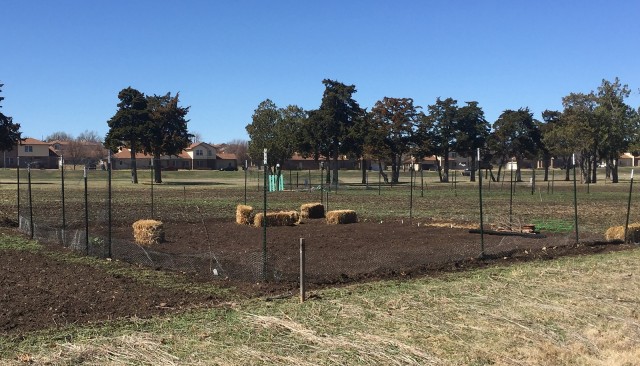 Fort Sill garden plots are available on a first-come, first-served basis at Sportsmen Services. The plots are southeast of Freedom Elementary School.
