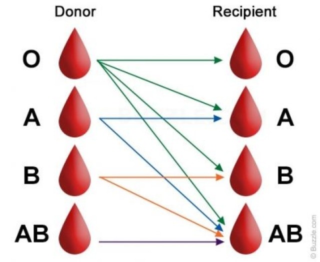 Blood type distribution U.S. 2023