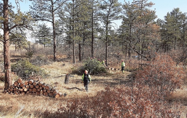 Fort Carson, CDOT partner on fire mitigation project