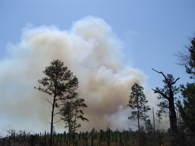 FORT BENNING, Ga. – In a March 2004 photo, smoke rises here from a prescribed burn, a fire set and carefully controlled by experts, in which deadwood and other forest debris is burned off.  Fort Benning typically conducts prescribed burns yearly from December through May. Because of the burns, if a wildfire got going there&#39;d be less fuel for it to feed on, which also makes such fires easier to control and suppress. Before such burns are scheduled, officials here carefully study weather data, including forecasts as to wind direction, and choose the times and places to burn in ways that avoid to the extent possible smoke carrying to populated areas within or beyond Fort Benning. Burns had halted last year because of the COVID-19 pandemic but have since resumed, with crews working to catch up on burning, to include acreage they couldn&#39;t burn last year during the pandemic.

          