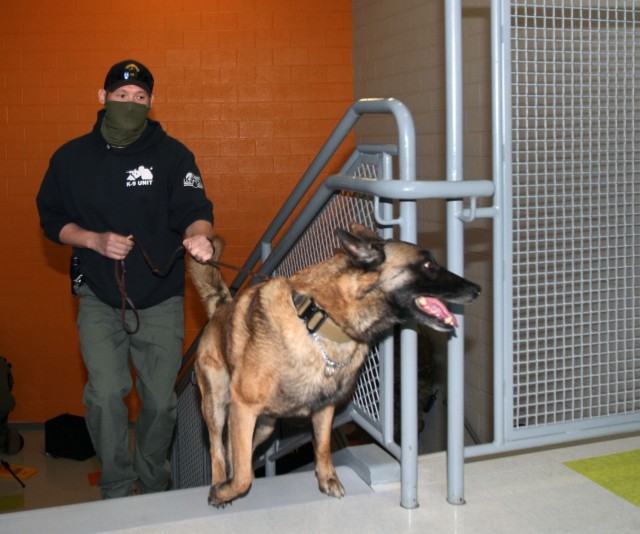 MWD3