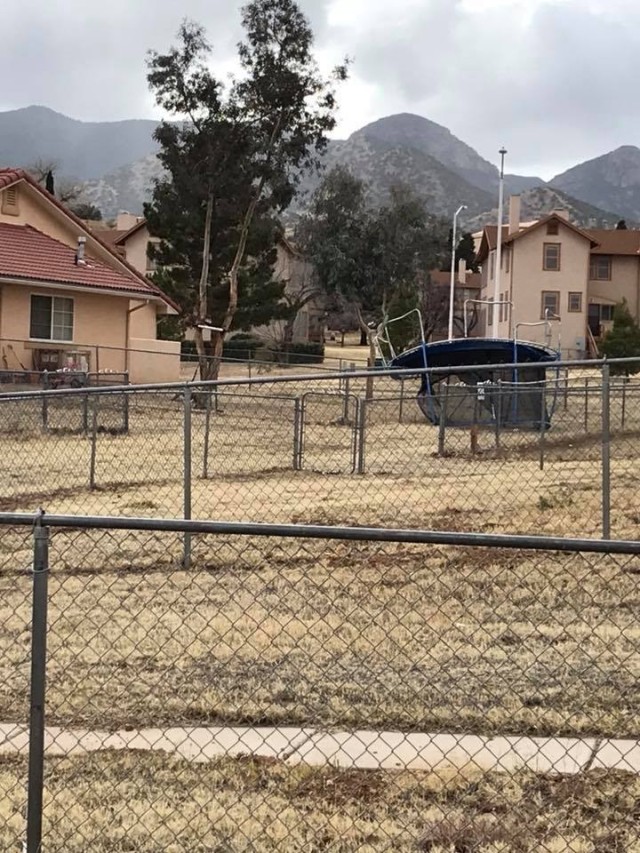 Windstorms win versus backyard trampolines