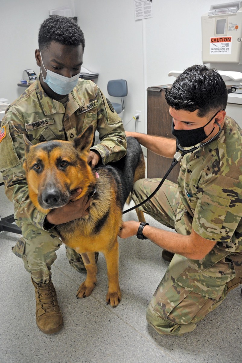 Fort Gordon Veterinary Clinic is open to care for pets Article The
