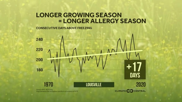 Tree allergy season is in full bloom at Fort Knox