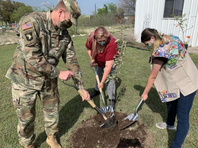 Tree planting