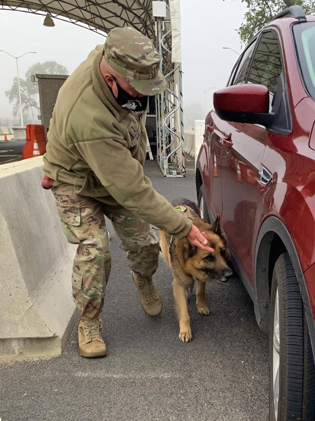 Chance the K-9 sniffs a vehicle for illegal narcotics, guided by his handler CW4 Joe Hall of the California State Guard