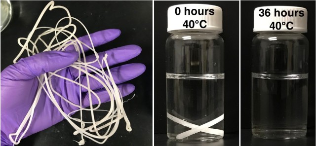 The new process to break down compostable plastics involves embedding polyester-eating enzymes in the plastic as it&#39;s made. When exposed to heat and water, the enzyme shrugs off its polymer shroud and starts chomping the plastic polymer into its building blocks — in the case of PLA, reducing it to lactic acid, which can feed the soil microbes in compost. 