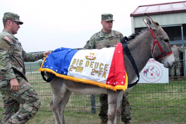 BigBlanket