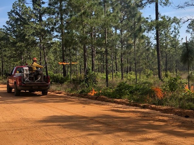 An equipment operator with the Fort Stewart-Hunter Army Airfield Forestry Branch ignites a baseline fire upwind along a dirt road in the installation's training area, April 23 on Fort Stewart.