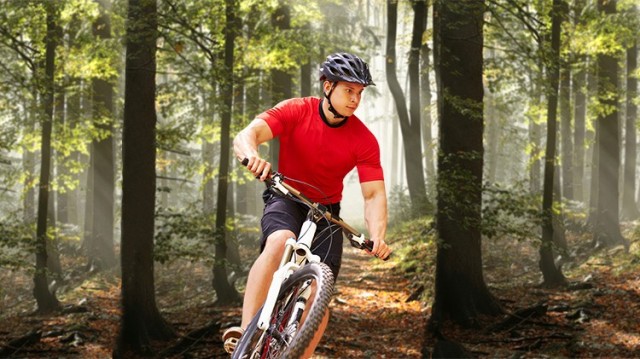 Mountain Biking in the Park