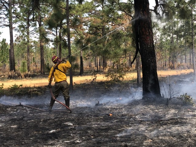 An equipment operator with the Fort Stewart-Hunter Army Airfield Forestry Branch extinguishes a fire at the base of a long leaf pine tree during a controlled burn, April 23 on Fort Stewart, Georgia.
