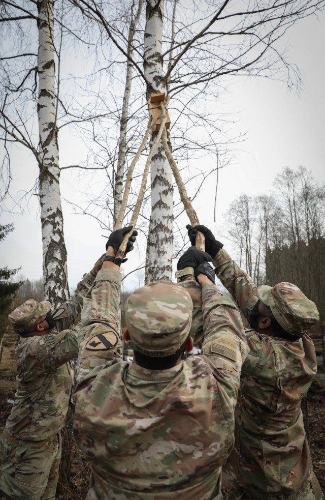 Troopers assigned to 2nd Battalion, 8th Cavalry Regiment struggle to hang a bird house in a forest outside the Lithuanian city of Kaunas. Wind was a challenge to overcome while hanging the birdhouses on upper branches of trees in the forest. (U.S....