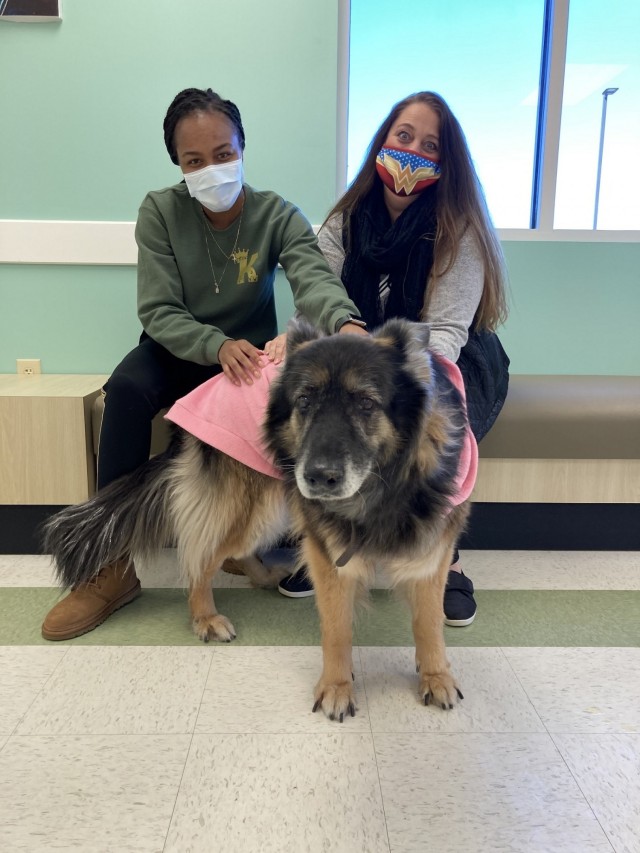 Sgt. Tekeyah Purvis (left) and Spc. Angel Africa (right) volunteered at a new pet care facility on Fort Belvoir in Virginia on Jan. 28, 2021. They are two of approximately eight Soldiers assigned to the Fort Belvoir Soldier Recovery Unit who...