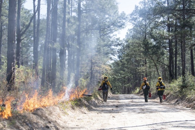 Travis Dodson, wildlife biologist with the forestry branch, uses a drip torch to begin a controlled burn as colleagues wait to begin their sections on April 13.