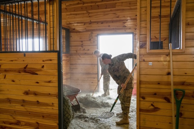 Soldiers volunteer at Wyoming ranch for Operation Remount