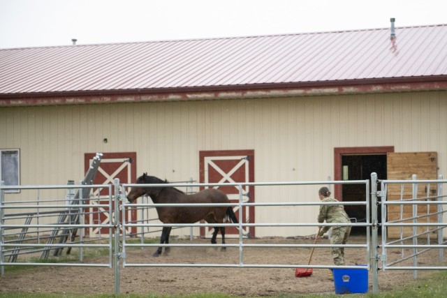 Soldiers volunteer at Wyoming ranch for Operation Remount